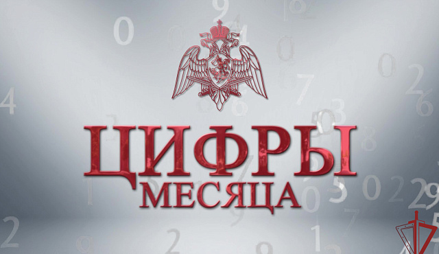 Итоги служебно-боевой деятельности за месяц подвели в столичном главке Росгвардии