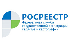Более 200 тысяч реестровых дел из архива Росреестра оцифровано в первом квартале 2023 года
